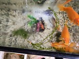IMG_20260428_061316598
