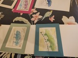 IMG_20241127_175753057