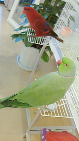2014082605450001