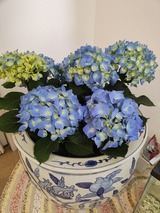 IMG_20260428_061303293