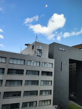 IMG_20260121_121755844