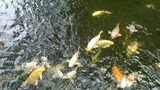 2014082413280002