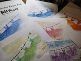IMG_20241128_052243161