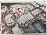 IMG_4442