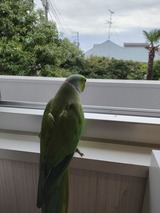 IMG_20250607_055447963_HDR