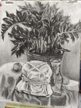 IMG_20250629_152209445