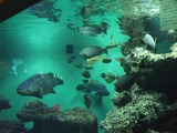 PICT0310