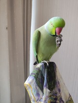 IMG_20250607_065126084