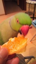 2011021720410000