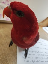 IMG_20260930_052610686