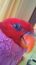 2011021310150000