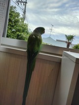 IMG_20250607_055504514_HDR
