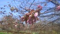 春2012-04-03