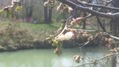 春2012-04-02
