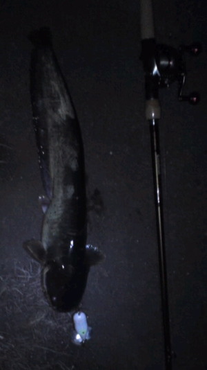 ���������