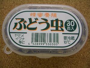 7��4�����ڡ�2