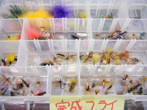 BLOG1095