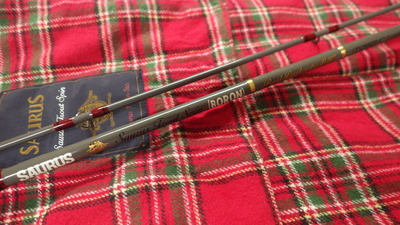 IMGP0411