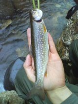 ��Ź�������6