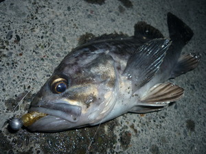 �������