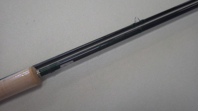 IMGP0731