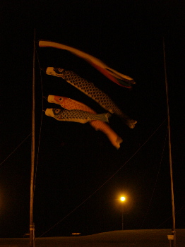 �����Τܤ�1