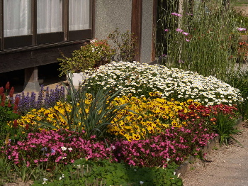 ���äѤ��β�