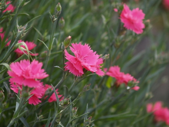 �İ�����