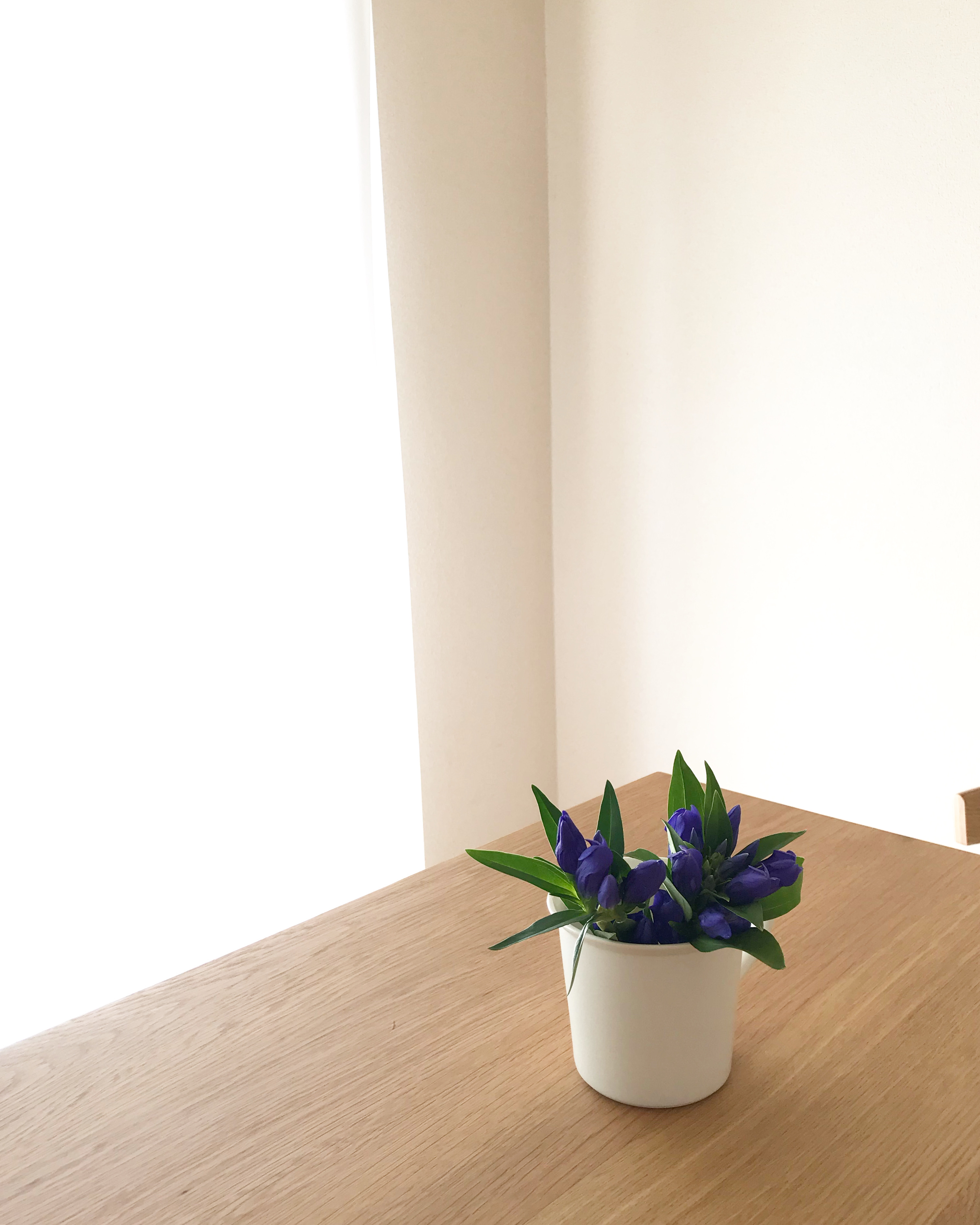 こざっぱり が続く 秋掃除 ミニマムな暮らし 1ldk Powered By ライブドアブログ