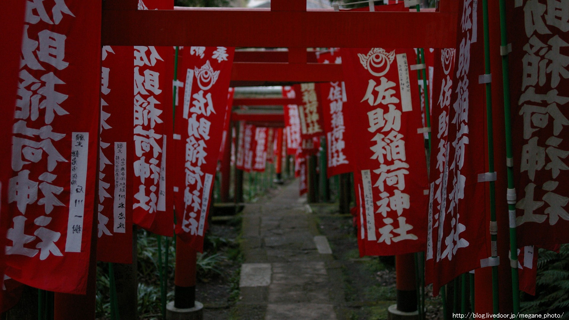 佐助稲荷神社 壁紙フォトグラフ