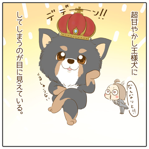 小型犬への憧れ04