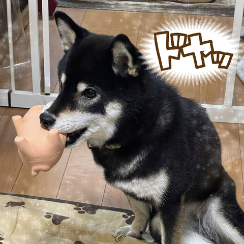 E8529A38-7FE6-48E3-9B66-294C6770723A