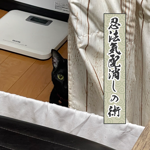 A2040E6D-668C-49D7-8B61-2FE01AB729C0