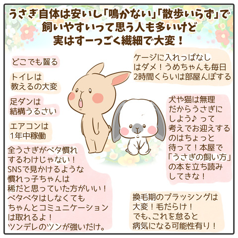 うさぎ18