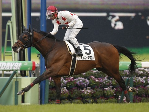 ミッキースワロー競馬2019馬券予想的中３連単