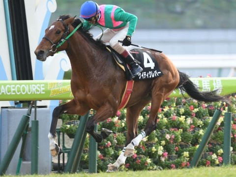 ケイティクレバー競馬無料予想2019馬券的中