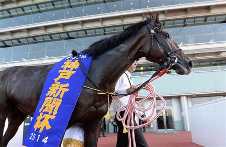 神戸新聞杯予想2015