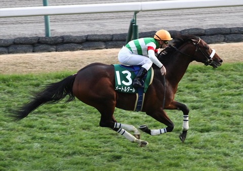 メートルダール競馬無料予想2019的中馬券