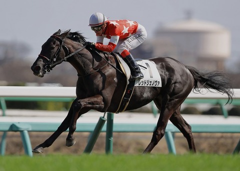 エリザベス女王杯2018予想レッドジェノヴァ競馬結果