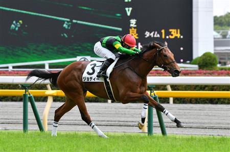 ジョディー競馬結果2019馬券的中