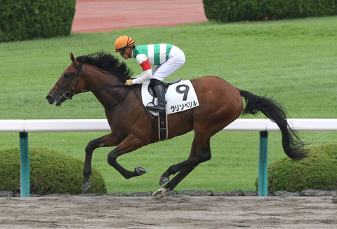 クリソベリル競馬チャンピオンズカップ予想2019