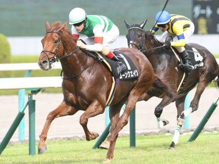 ムーンクエイク競馬予想スプリンターズステークス2018