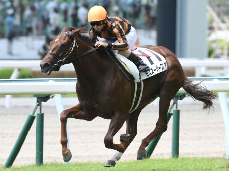 モズスーパーフレア競馬スプリンターズステークス2019予想