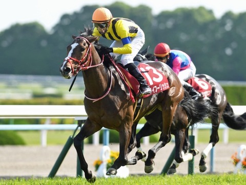 ステイフーリッシュ競馬予想2019無料予想当たる