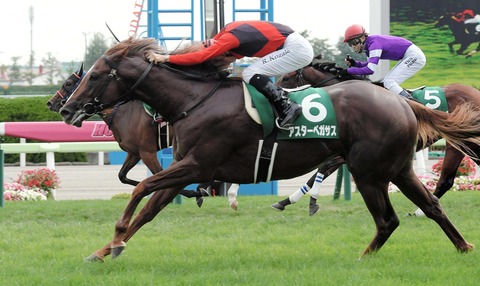 アスターペガサス函館競馬予想2019