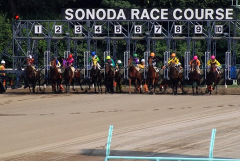 園田競馬場でも３頭ボックス予想