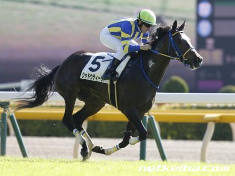 シャドウディーヴァ競馬結果2019マン馬券