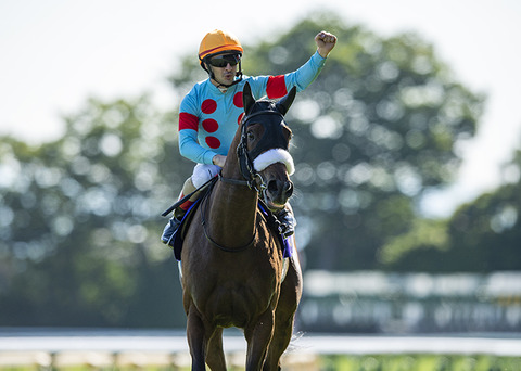 シルクホースクラブ競馬予想