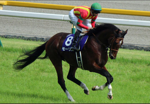 mo-risuyasuda