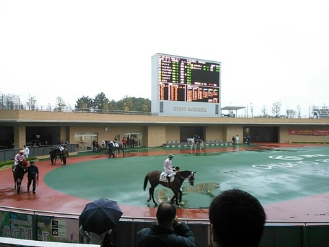 中京競馬場雨